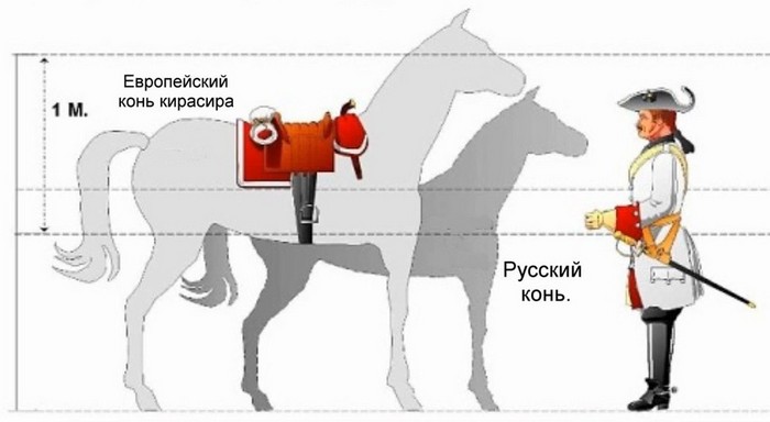 Сравнение лошадей кавалерии Петра 1 и регулярных Западных армий