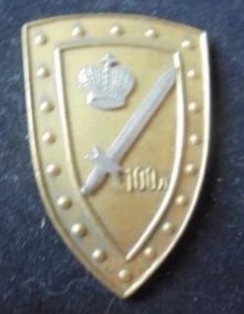 Юбилейные знаки царской охраны