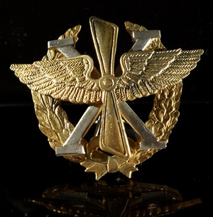Знак 10-го корпусного авиаотряда воздушного флота Российской императорской армии