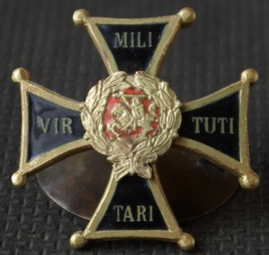 Знак Гродненских гусар