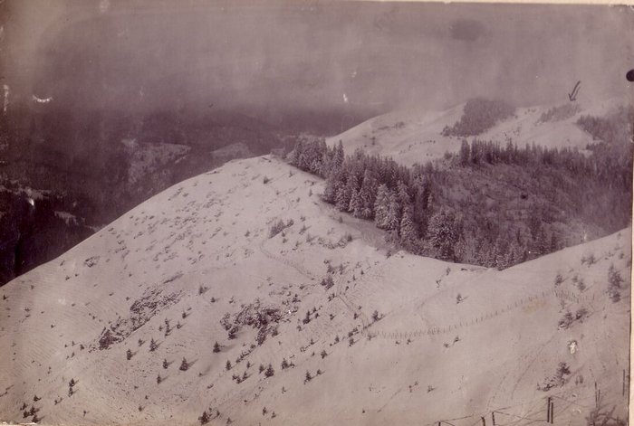 Румыния, 1916 г. Лифляндский 97-го пехотный полк, позиция роты Вержбицкого В.А.